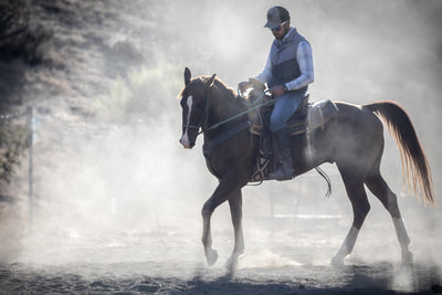 Horse training in morning dust.