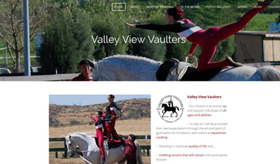 Valley View Vaulters